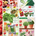 Antevisão Folheto PINGO DOCE Lojas Grandes Promoções de 19 a 25 maio p6.jpg